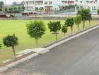 Green Campus - The Achievers School